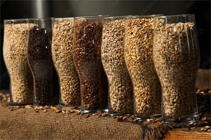 精釀啤酒原料-山東天泰啤酒設備