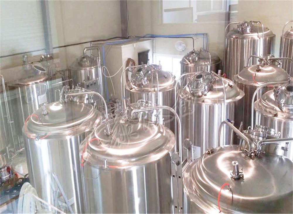 精釀啤酒發(fā)酵過程中苦味物質的變化